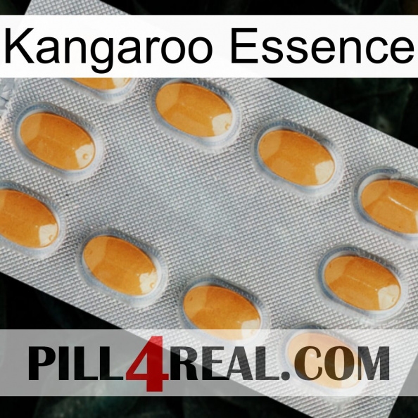 Kangaroo Essence cialis3.jpg